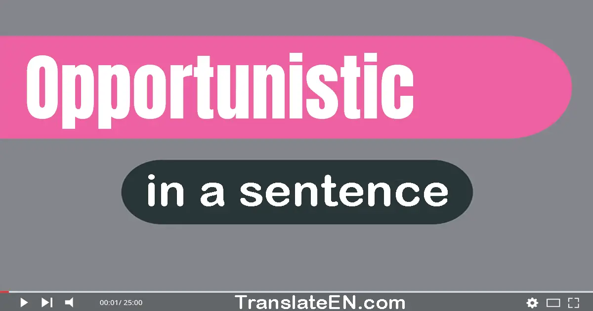 Use "opportunistic" in a sentence | "opportunistic" sentence examples