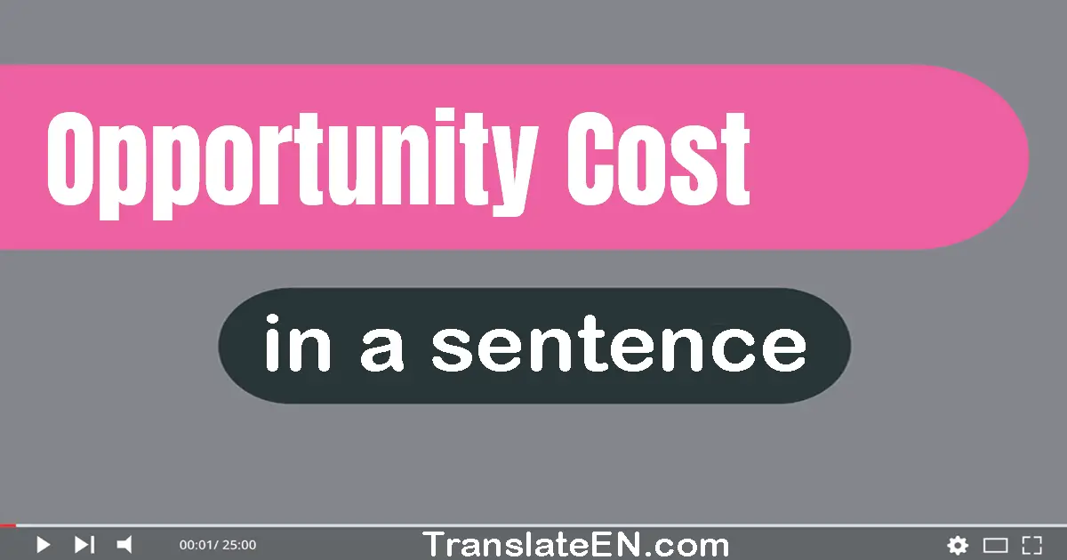 Use "opportunity cost" in a sentence | "opportunity cost" sentence examples