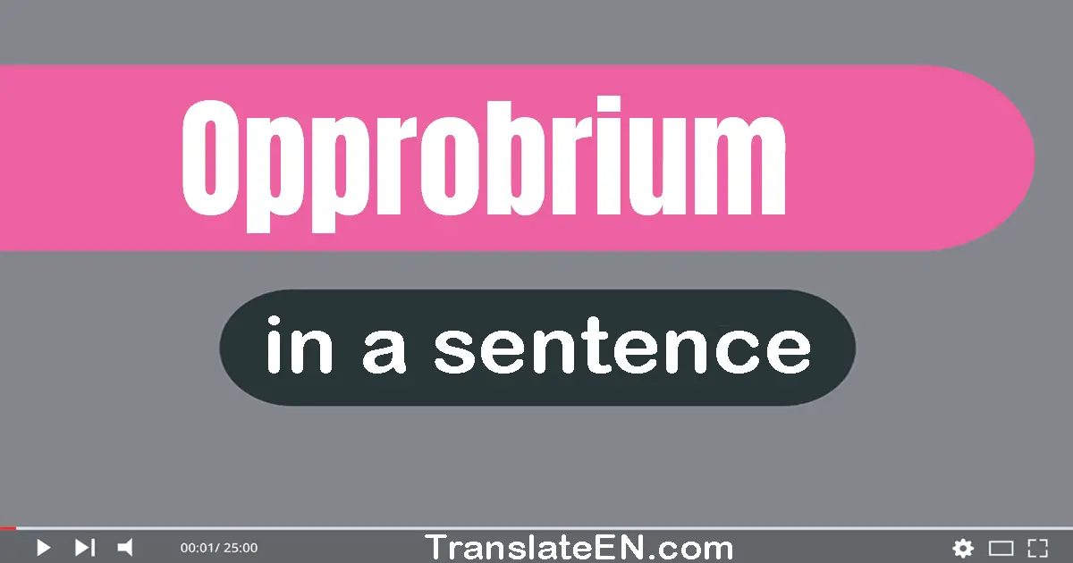 Use "opprobrium" in a sentence | "opprobrium" sentence examples
