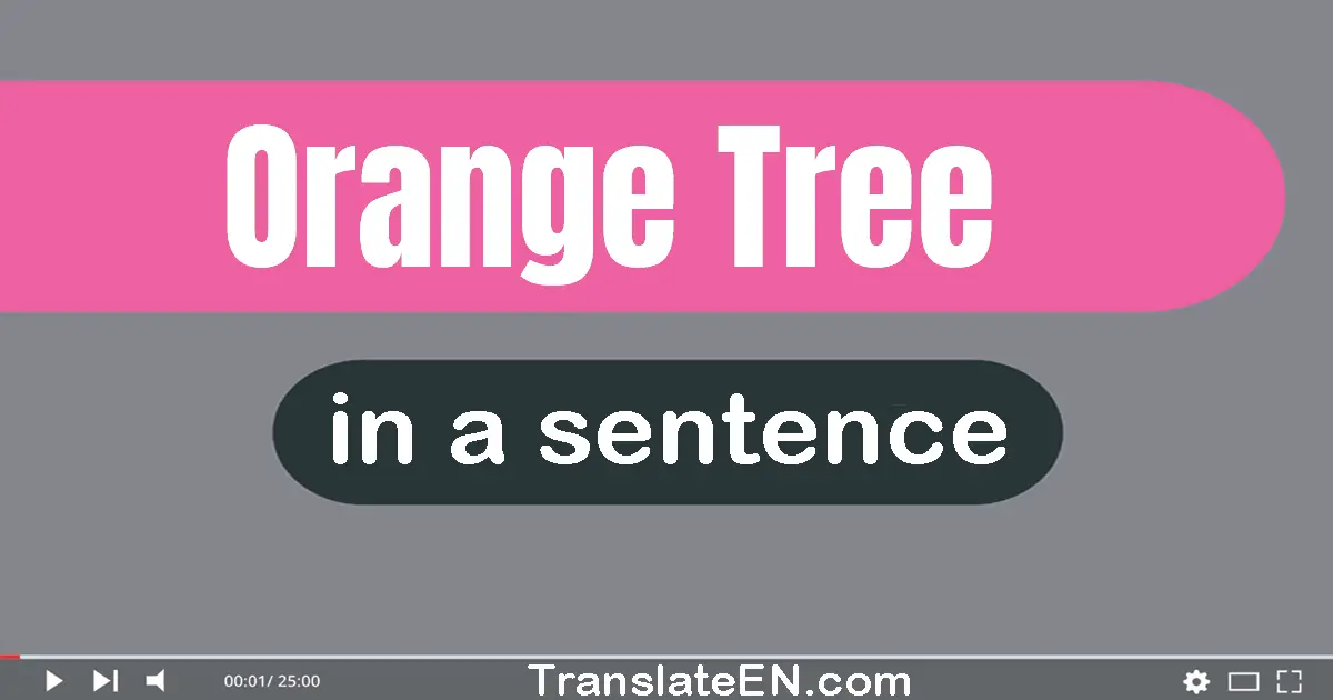 Orange Tree in a sentence