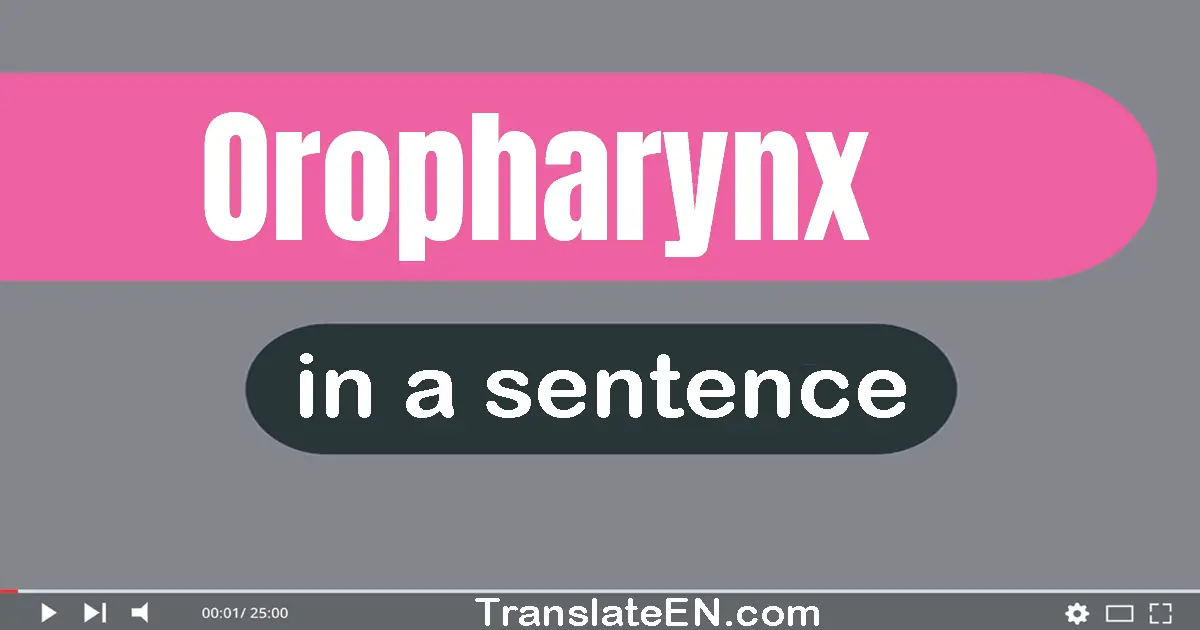 Oropharynx in a sentence