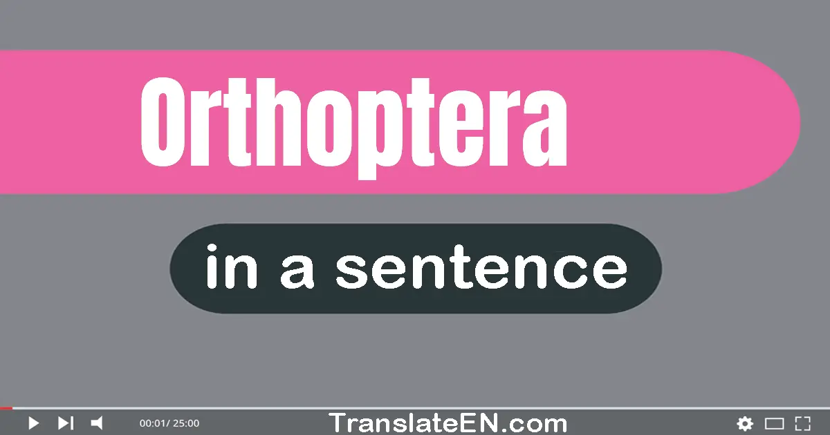 Orthoptera in a sentence