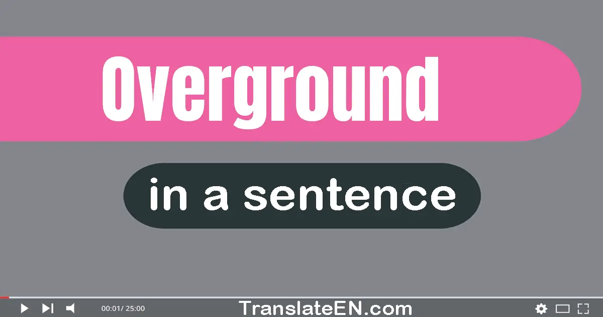 Use "overground" in a sentence | "overground" sentence examples