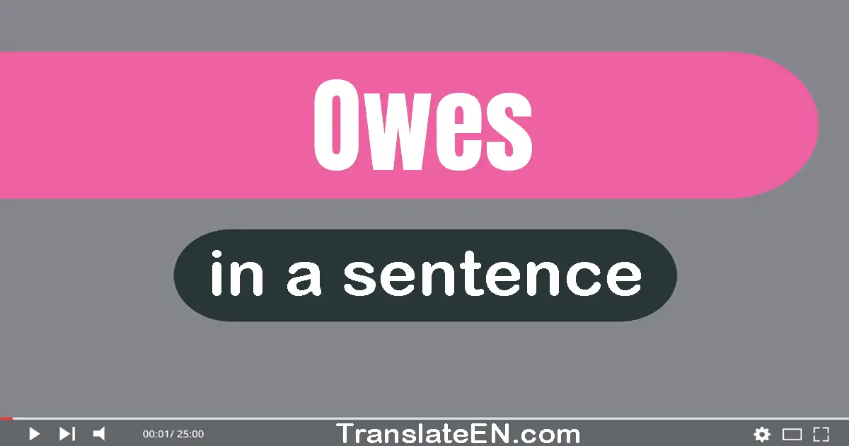 Owes in a sentence