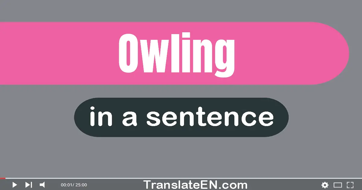 Owling in a sentence