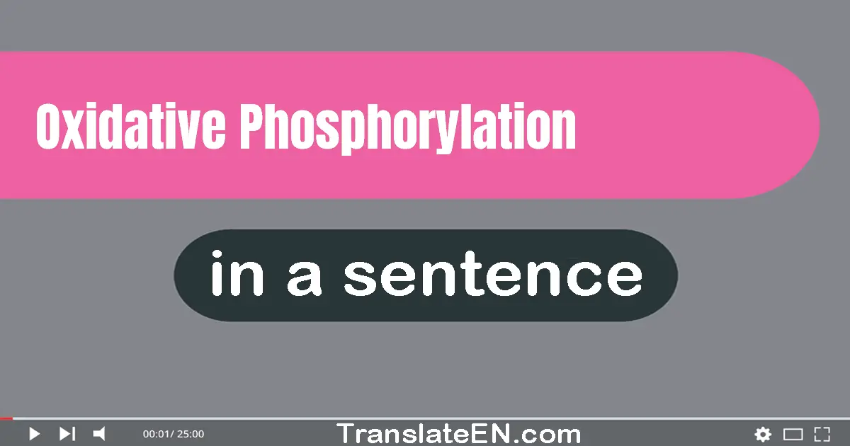 Oxidative Phosphorylation in a sentence