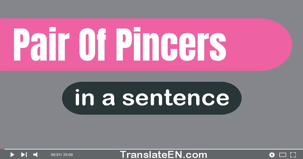 Pair Of Pincers in a sentence