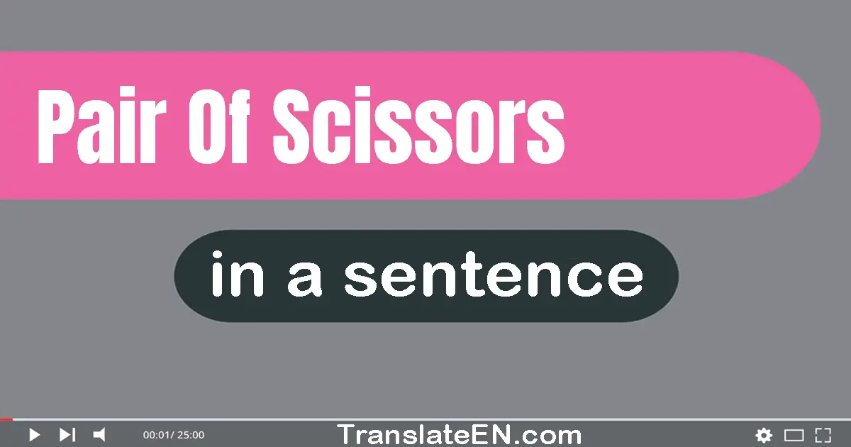 Pair Of Scissors in a sentence