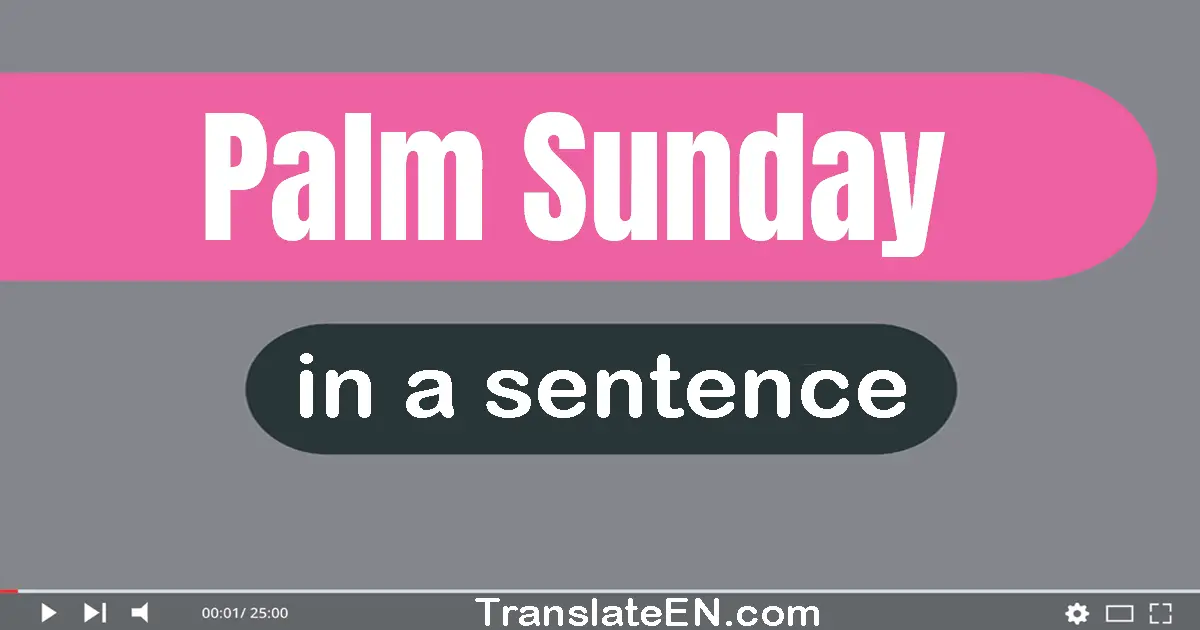 Palm Sunday in a sentence