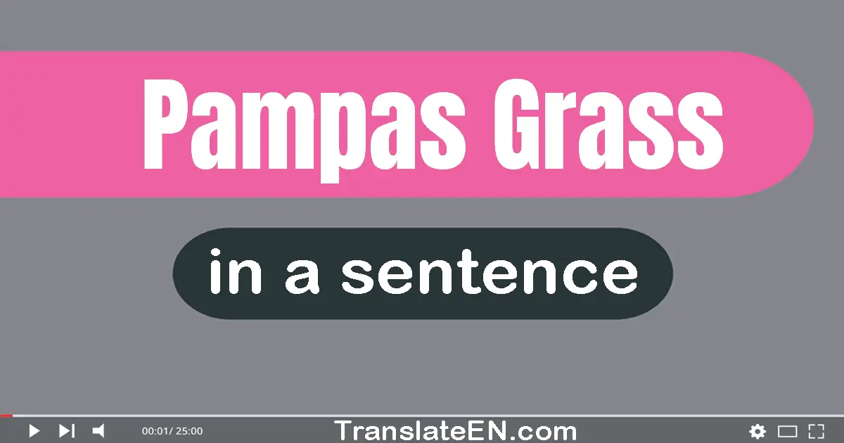 Pampas Grass in a sentence