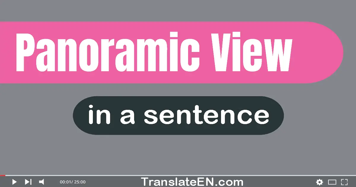 use-panoramic-view-in-a-sentence