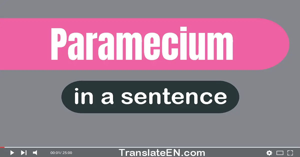 Paramecium in a sentence