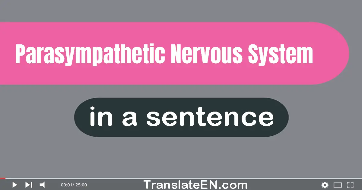Use "parasympathetic nervous system" in a sentence | "parasympathetic nervous system" sentence examples