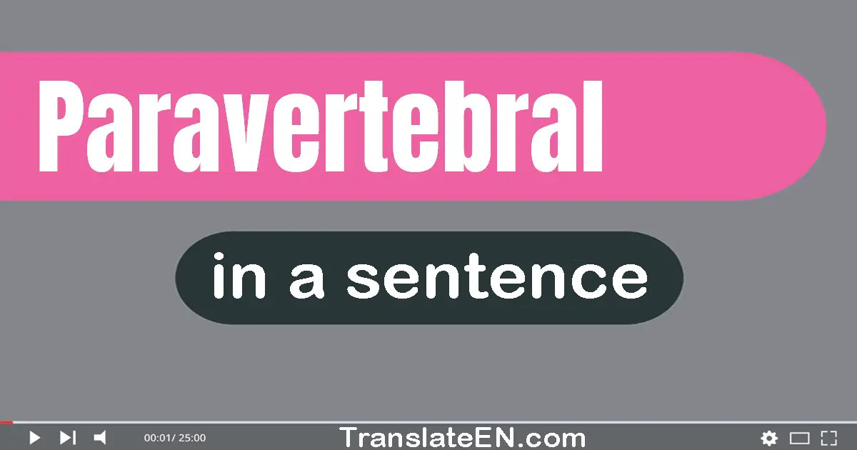 Use "paravertebral" in a sentence | "paravertebral" sentence examples
