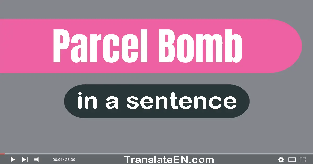 Use "parcel bomb" in a sentence | "parcel bomb" sentence examples
