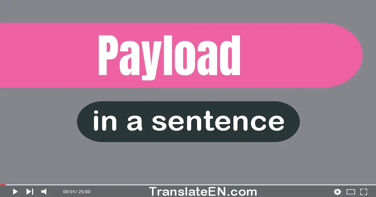 Payload in a sentence