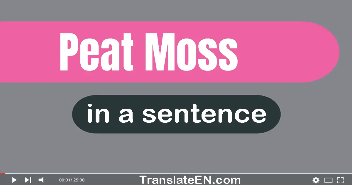 Peat Moss in a sentence