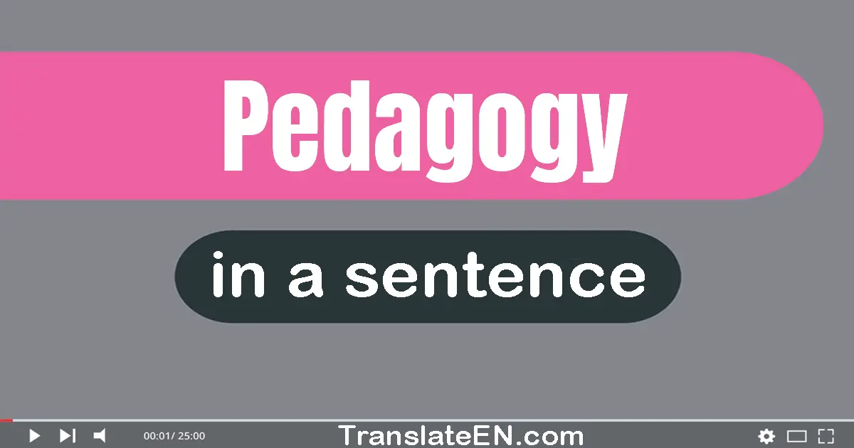 Use "pedagogy" in a sentence | "pedagogy" sentence examples