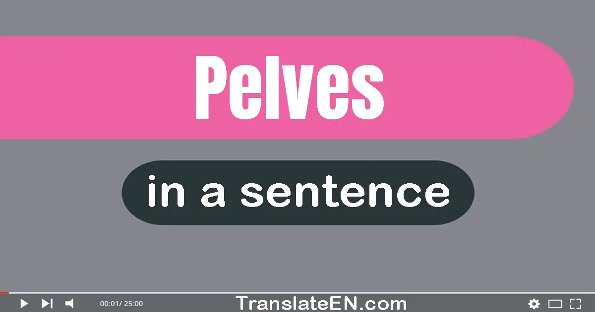 Pelves in a sentence