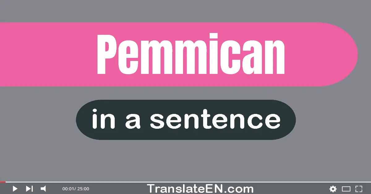 Pemmican in a sentence