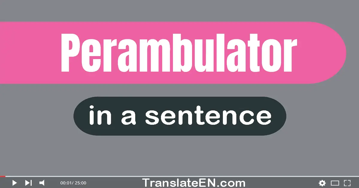 Perambulator in a sentence