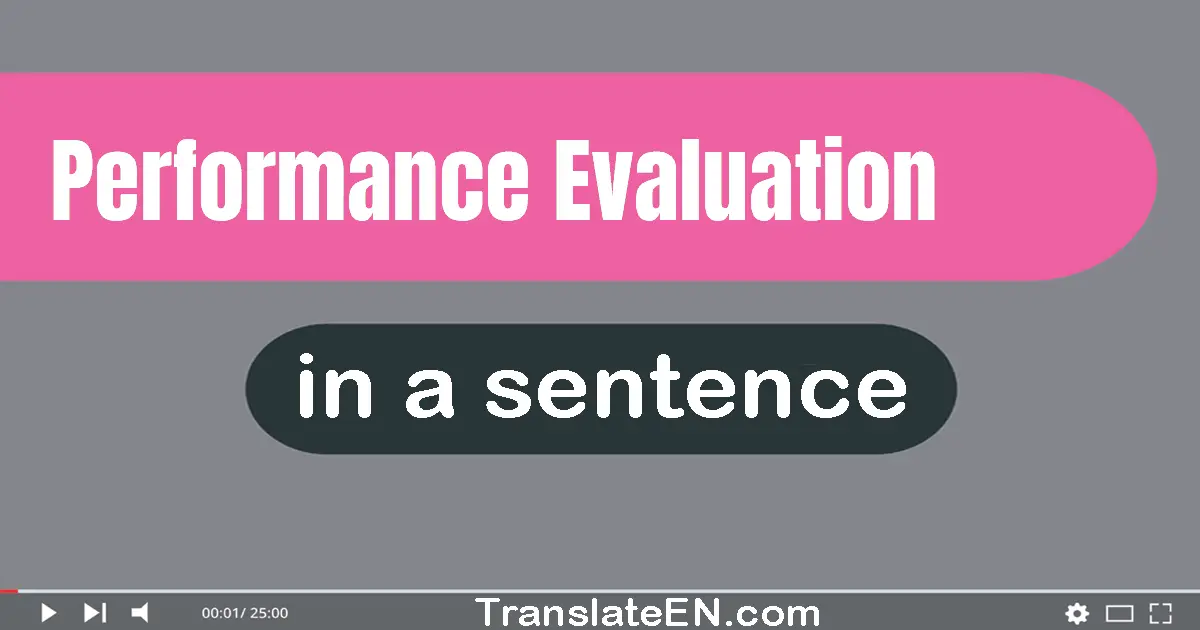 Use "performance evaluation" in a sentence | "performance evaluation" sentence examples