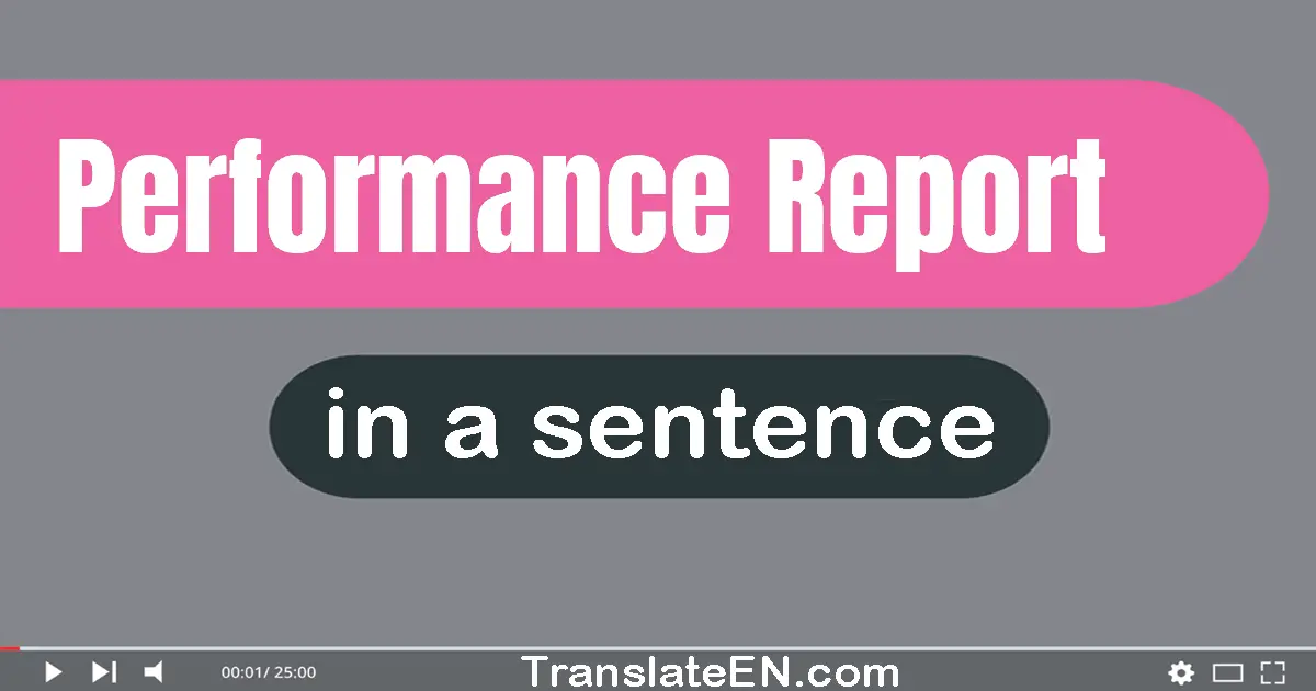 Use "performance report" in a sentence | "performance report" sentence examples