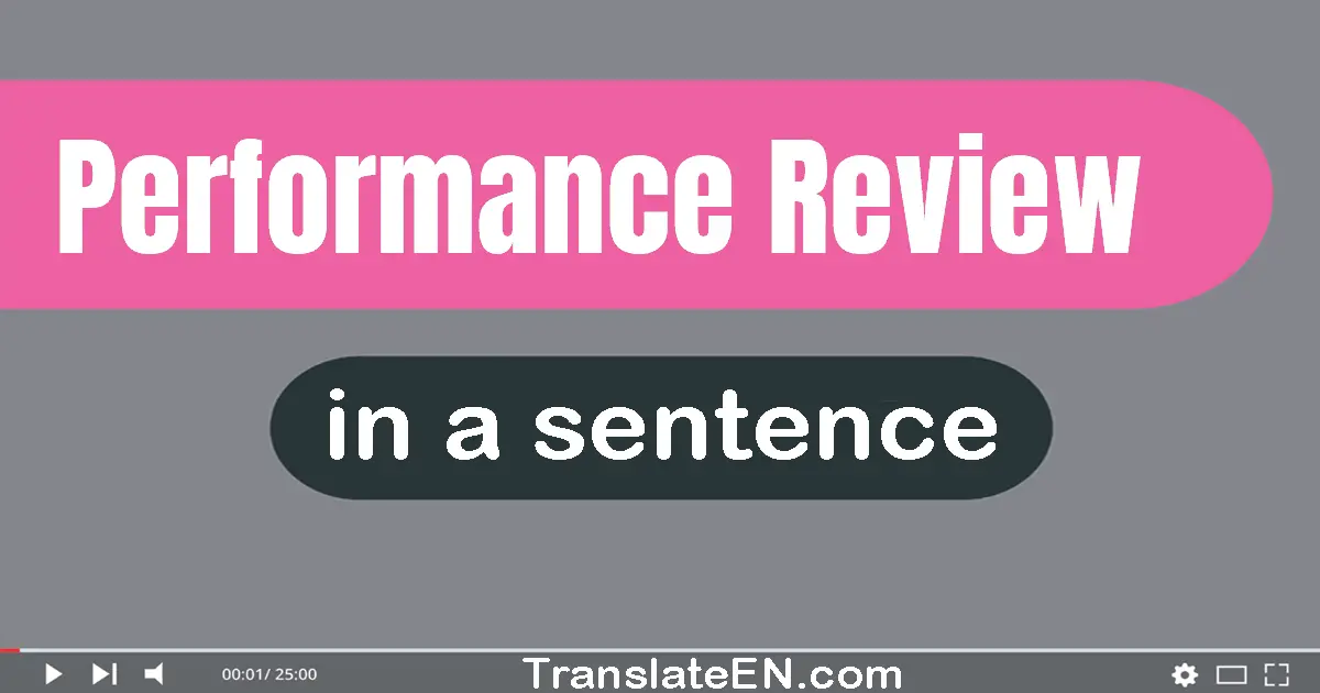 Use "performance review" in a sentence | "performance review" sentence examples