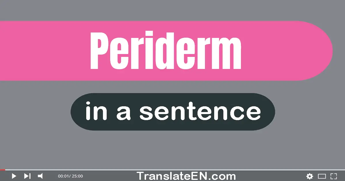 Periderm in a sentence