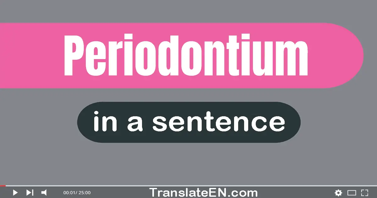 Use "periodontium" in a sentence | "periodontium" sentence examples