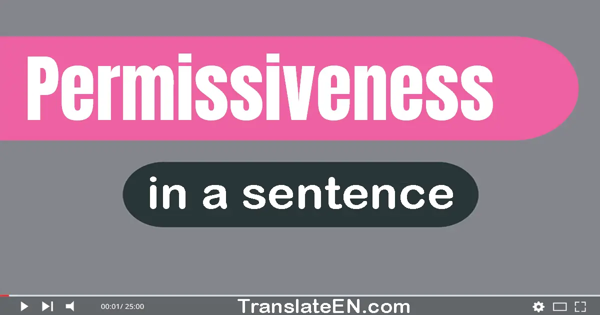 Use "permissiveness" in a sentence | "permissiveness" sentence examples