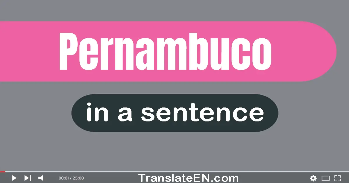 Use "pernambuco" in a sentence | "pernambuco" sentence examples