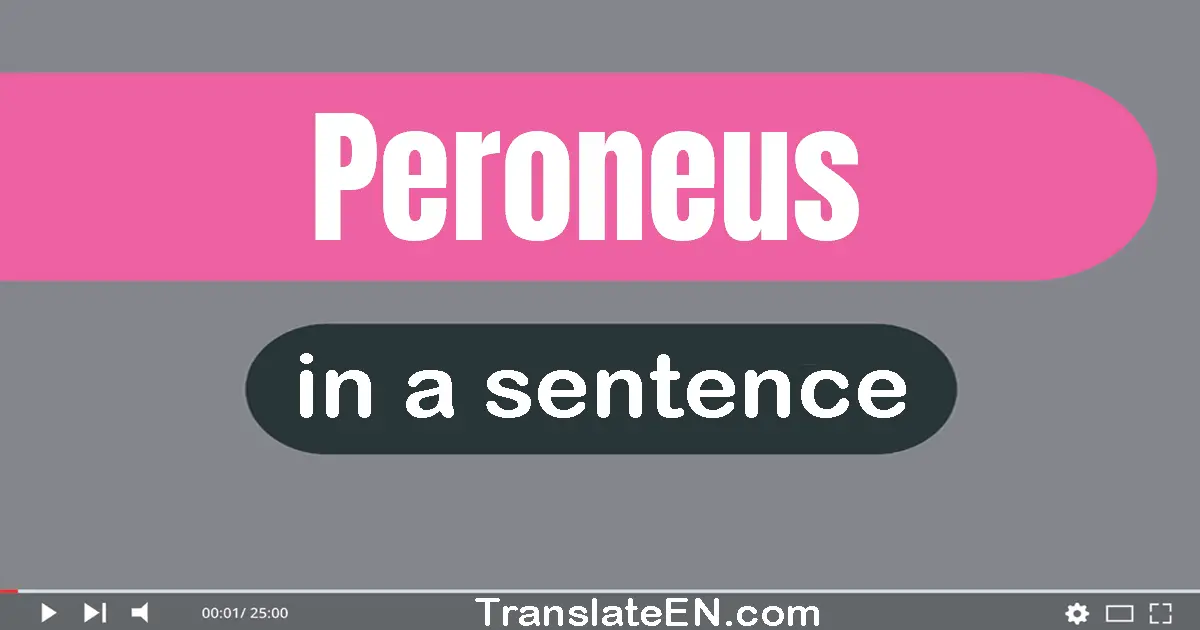 Use "peroneus" in a sentence | "peroneus" sentence examples