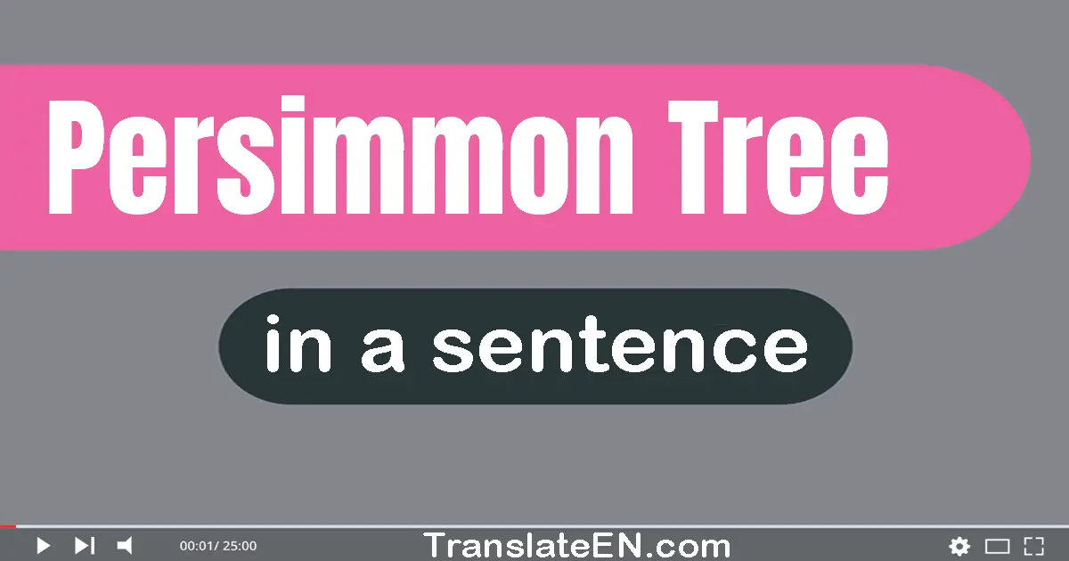 Use "persimmon tree" in a sentence | "persimmon tree" sentence examples