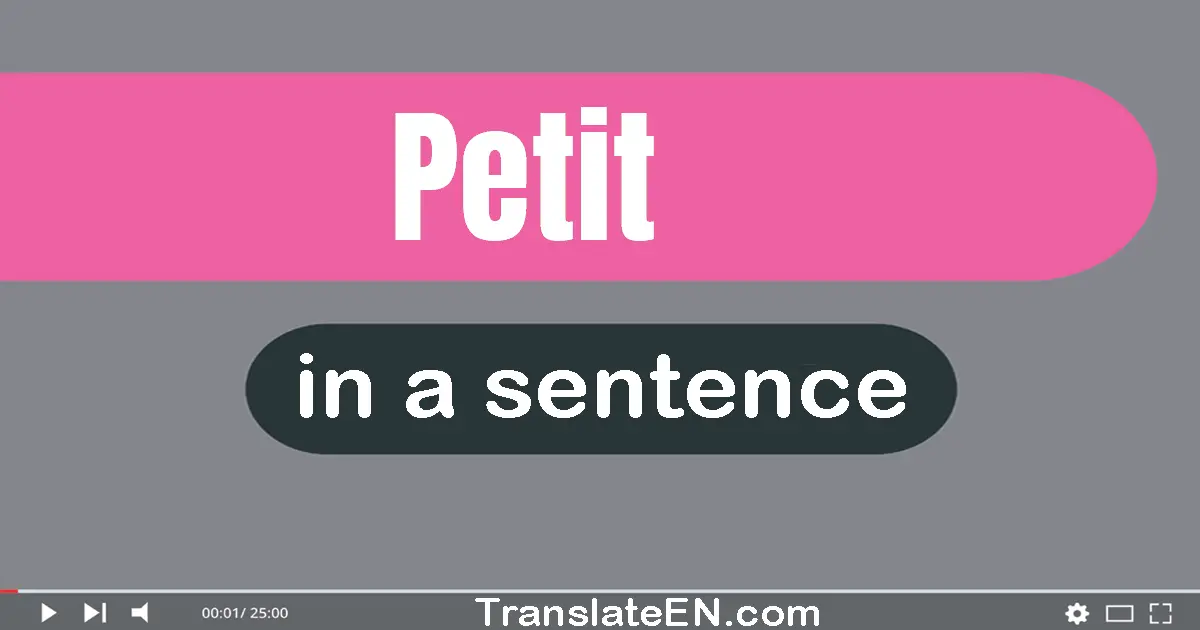 Petit in a sentence