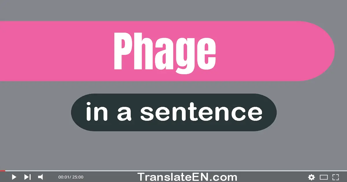 Phage in a sentence