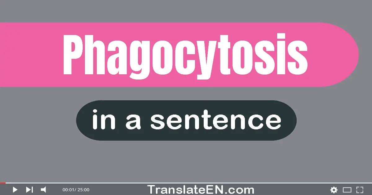 Phagocytosis in a sentence