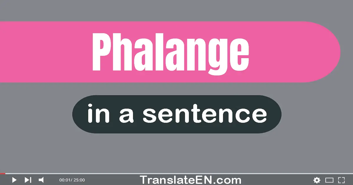 Phalange in a sentence