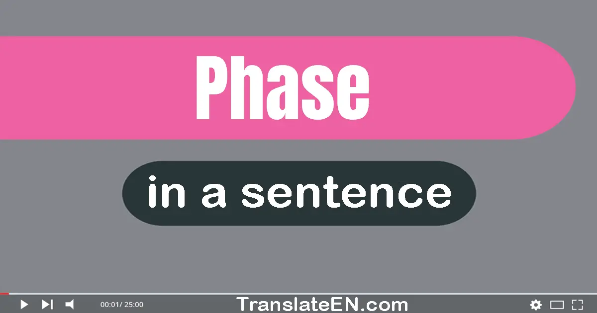 Use "phase" in a sentence | "phase" sentence examples