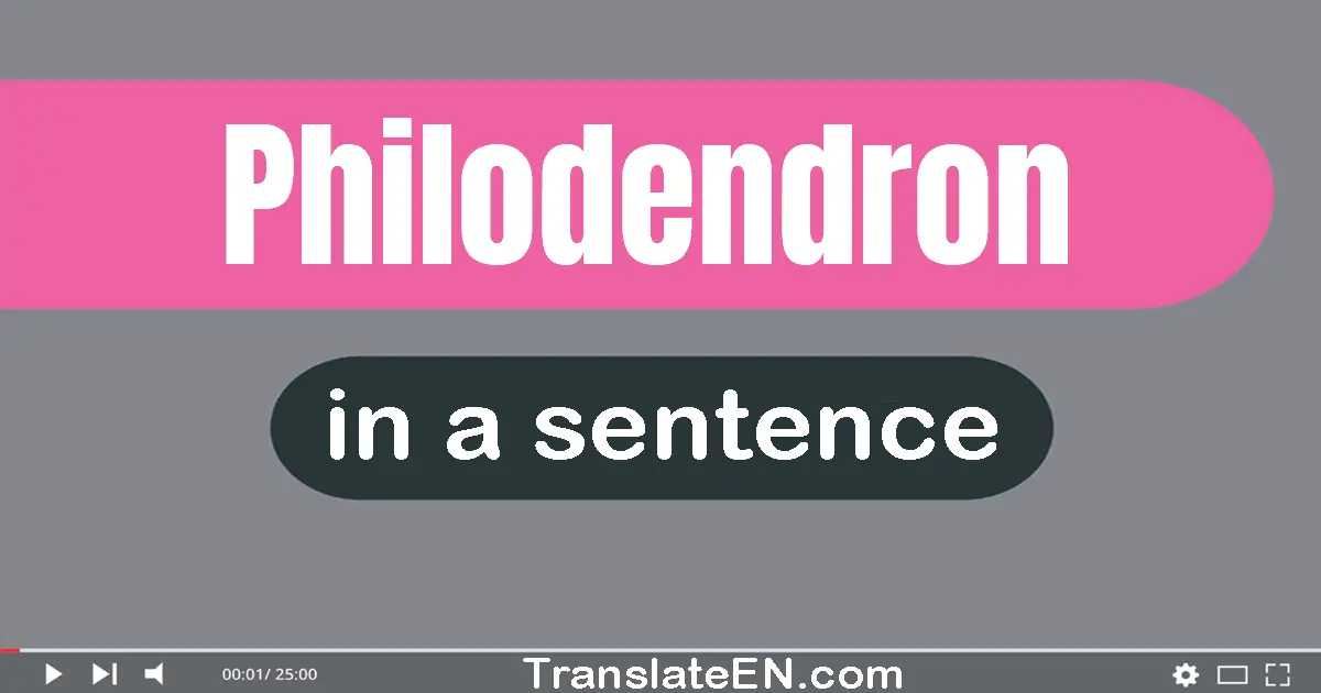 Philodendron in a sentence