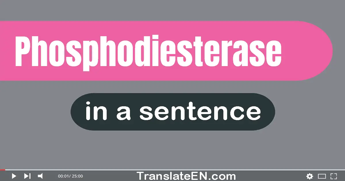 Phosphodiesterase in a sentence