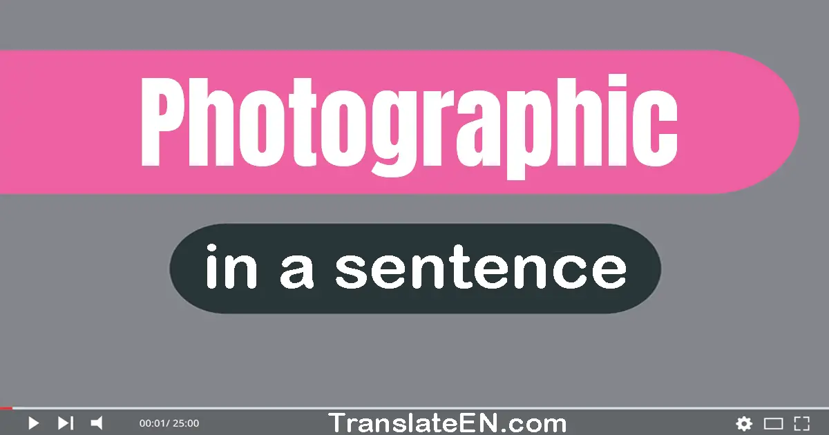 Photographic in a sentence