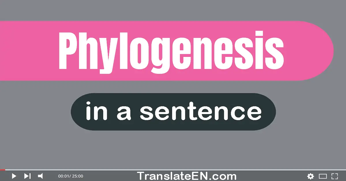 Phylogenesis in a sentence