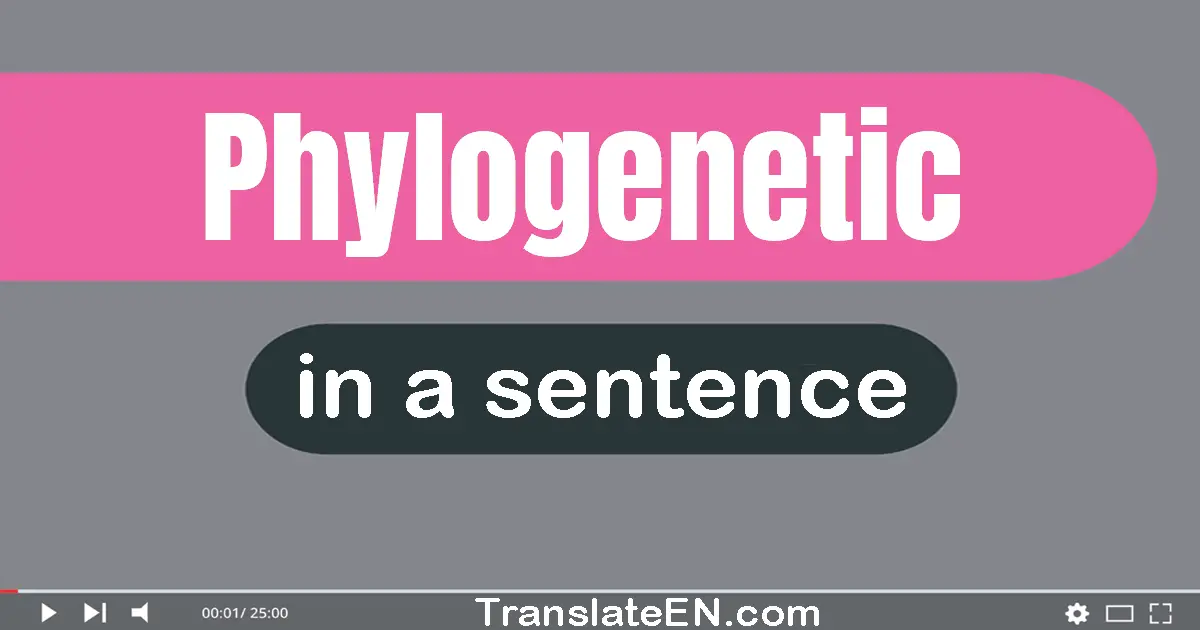 Phylogenetic in a sentence