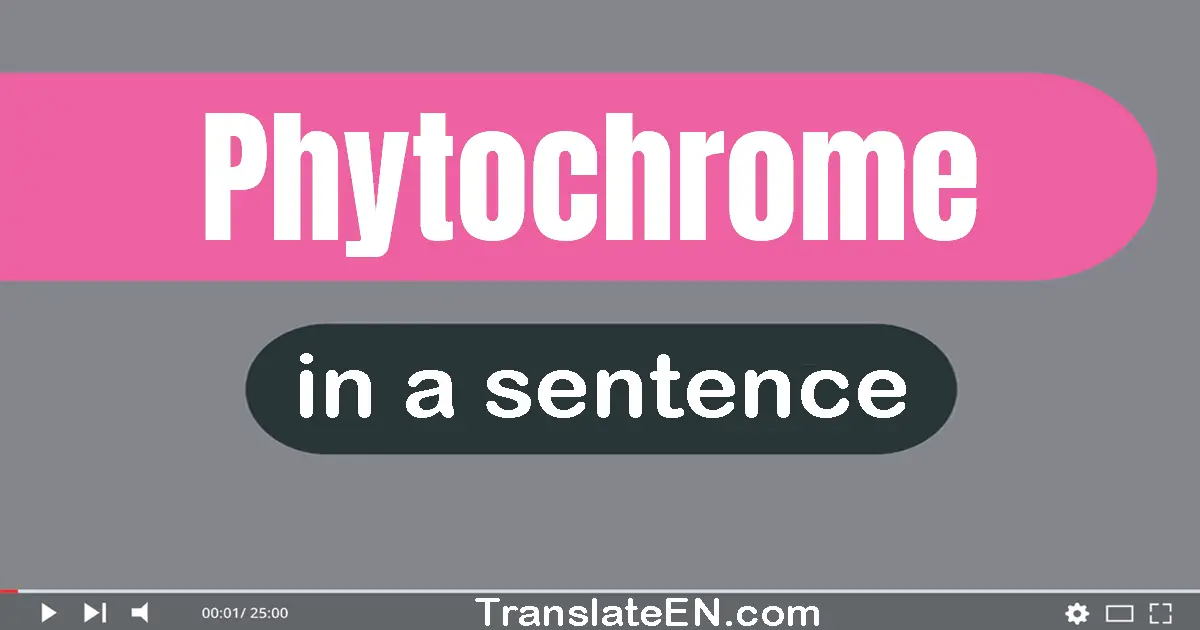 Phytochrome in a sentence