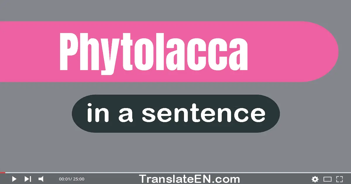 Phytolacca in a sentence