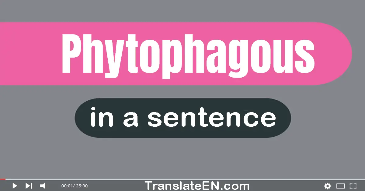 Phytophagous in a sentence