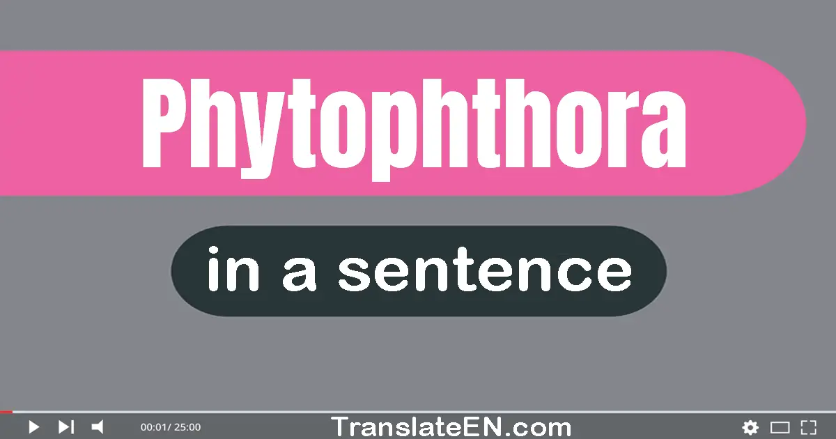 Phytophthora in a sentence