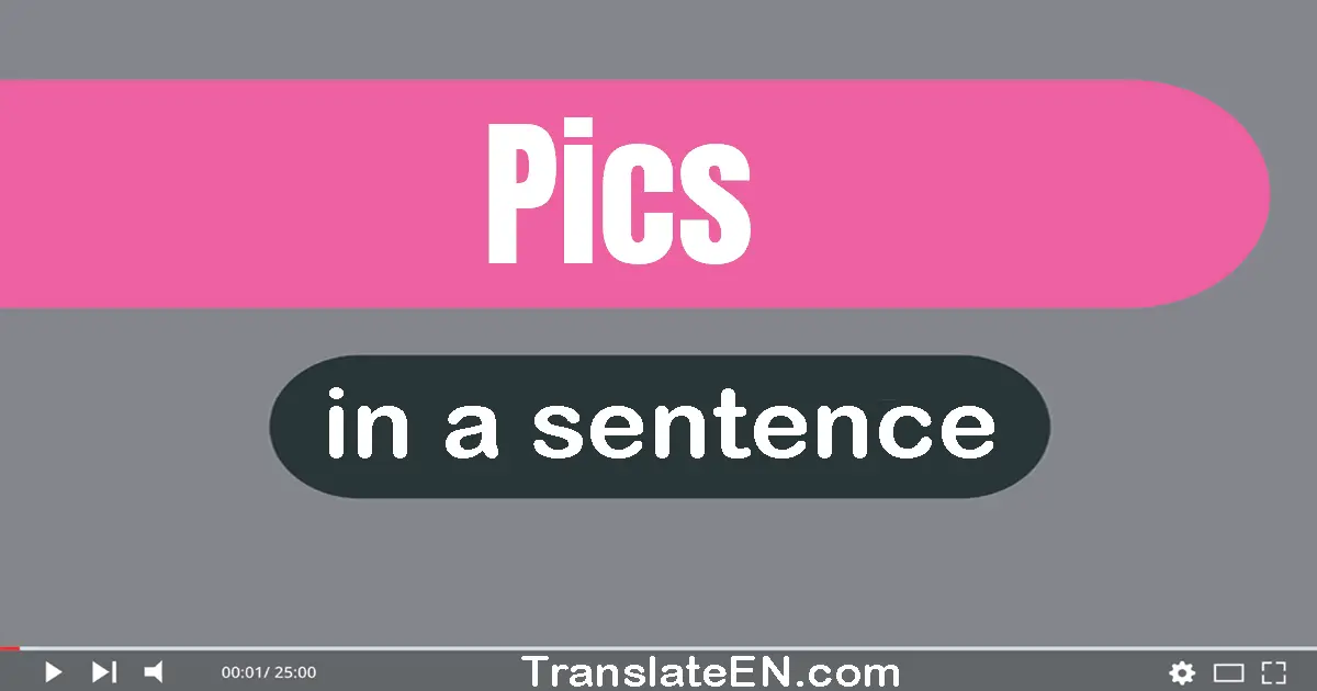 Pics in a sentence