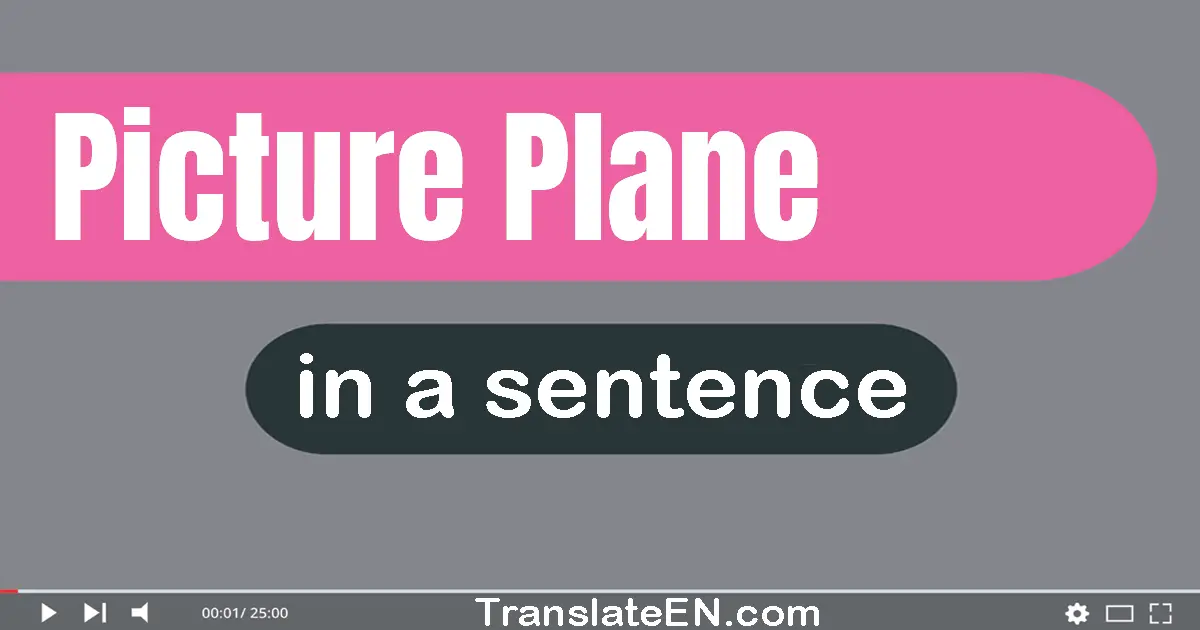 Picture Plane in a sentence